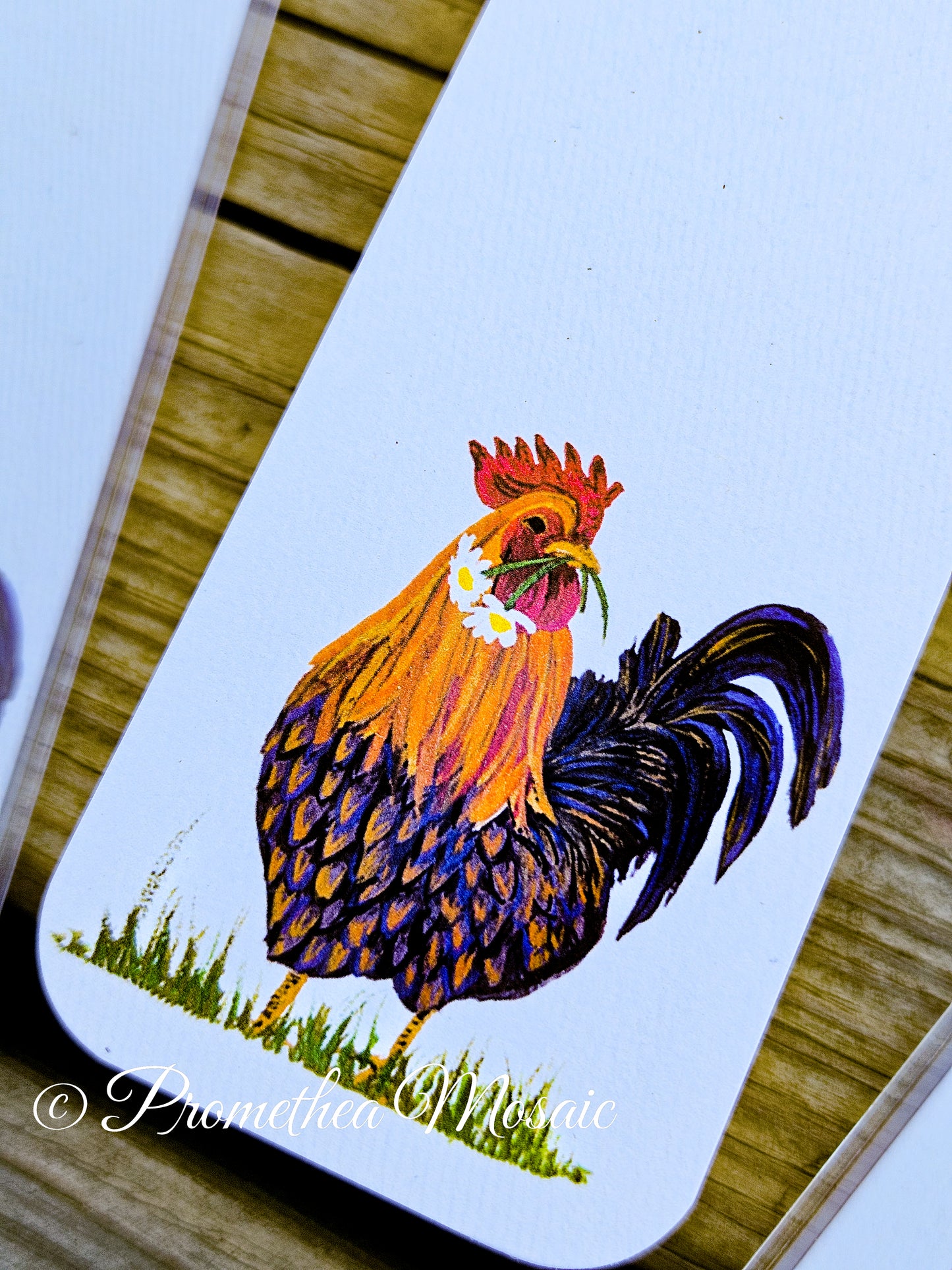 Close-up detail shot of Rooster with daisy flowers in his mouth