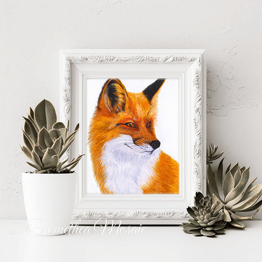 Framed artwork of a bright orange fox with kind eyes. Succulents on a white surface for decoration.