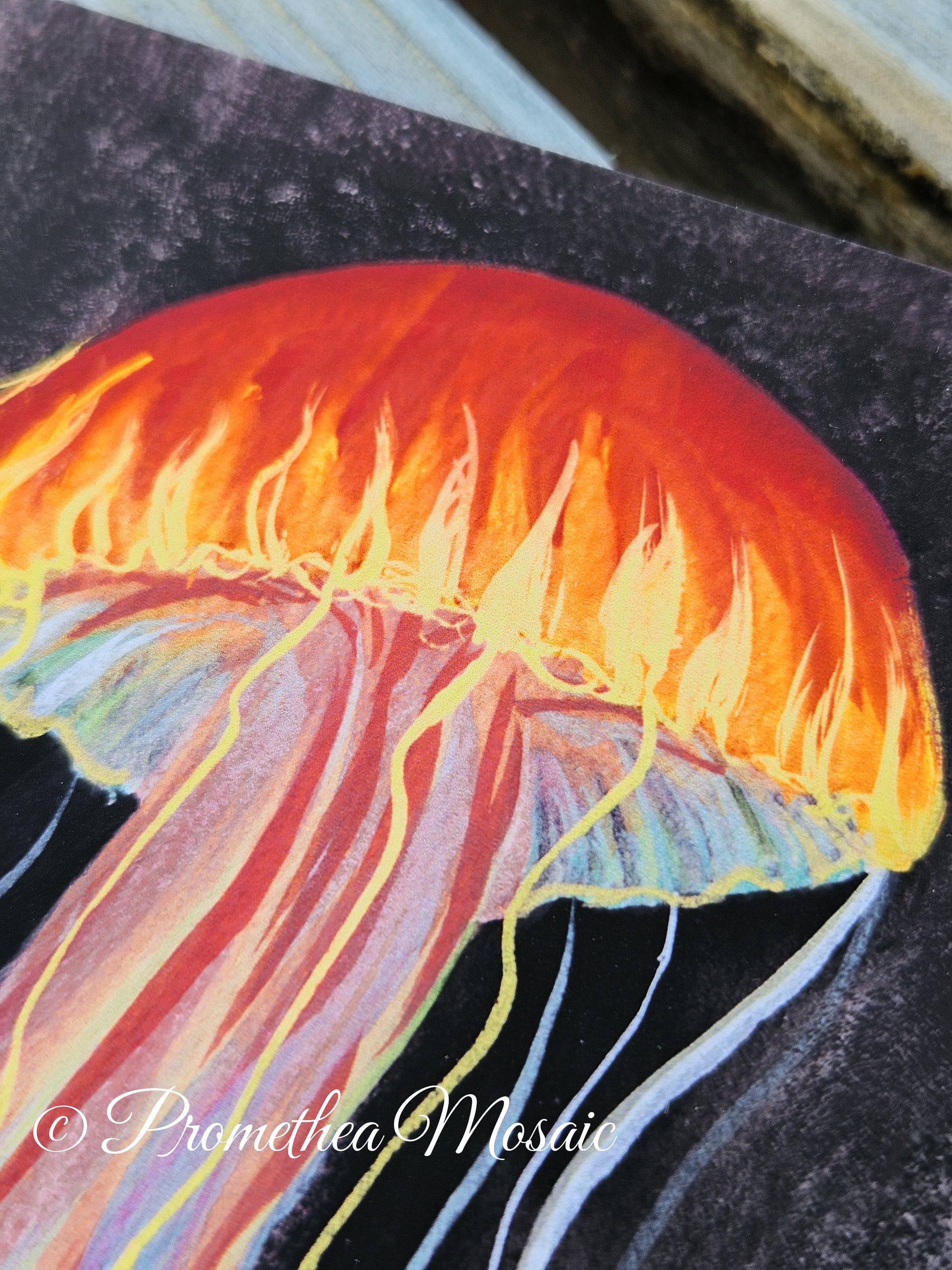 Close-up of jellyfish head detailing bright colors, strokes, and texture.
