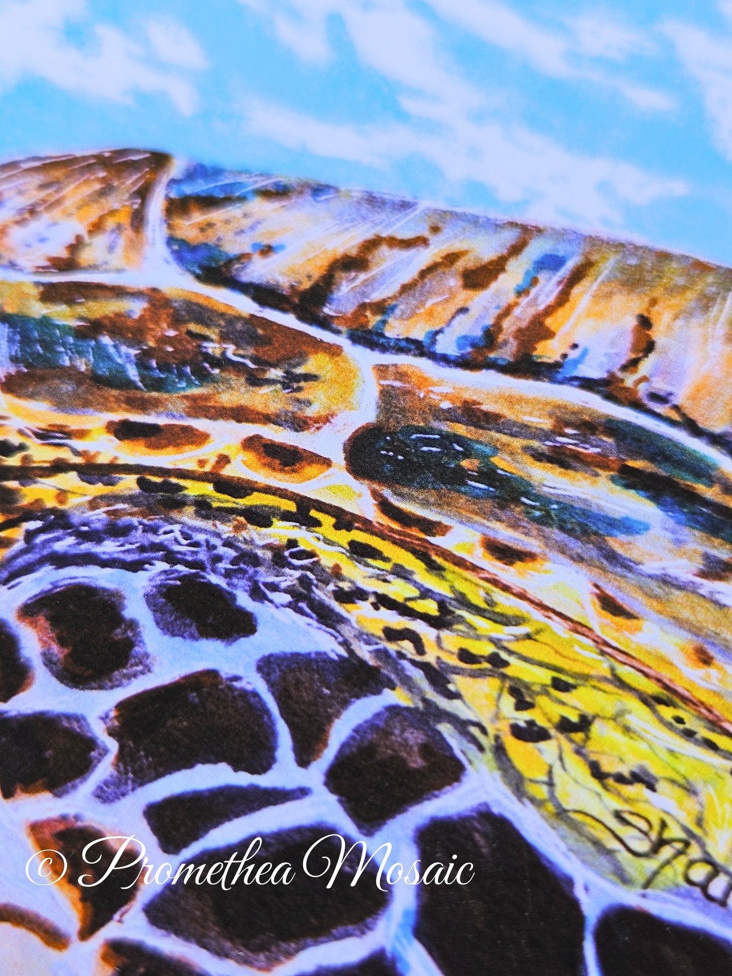 close-up of detail on Sea turtle shell and fin art print Illustration