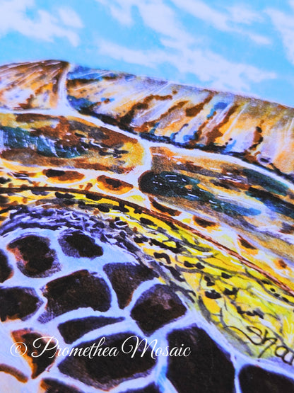 close-up of detail on Sea turtle shell and fin art print Illustration