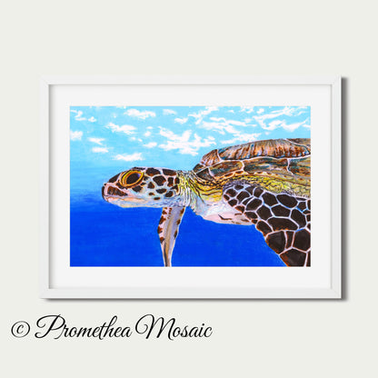Framed artwork of a turtle with a blue gradient background, featuring clean beach resort feel.