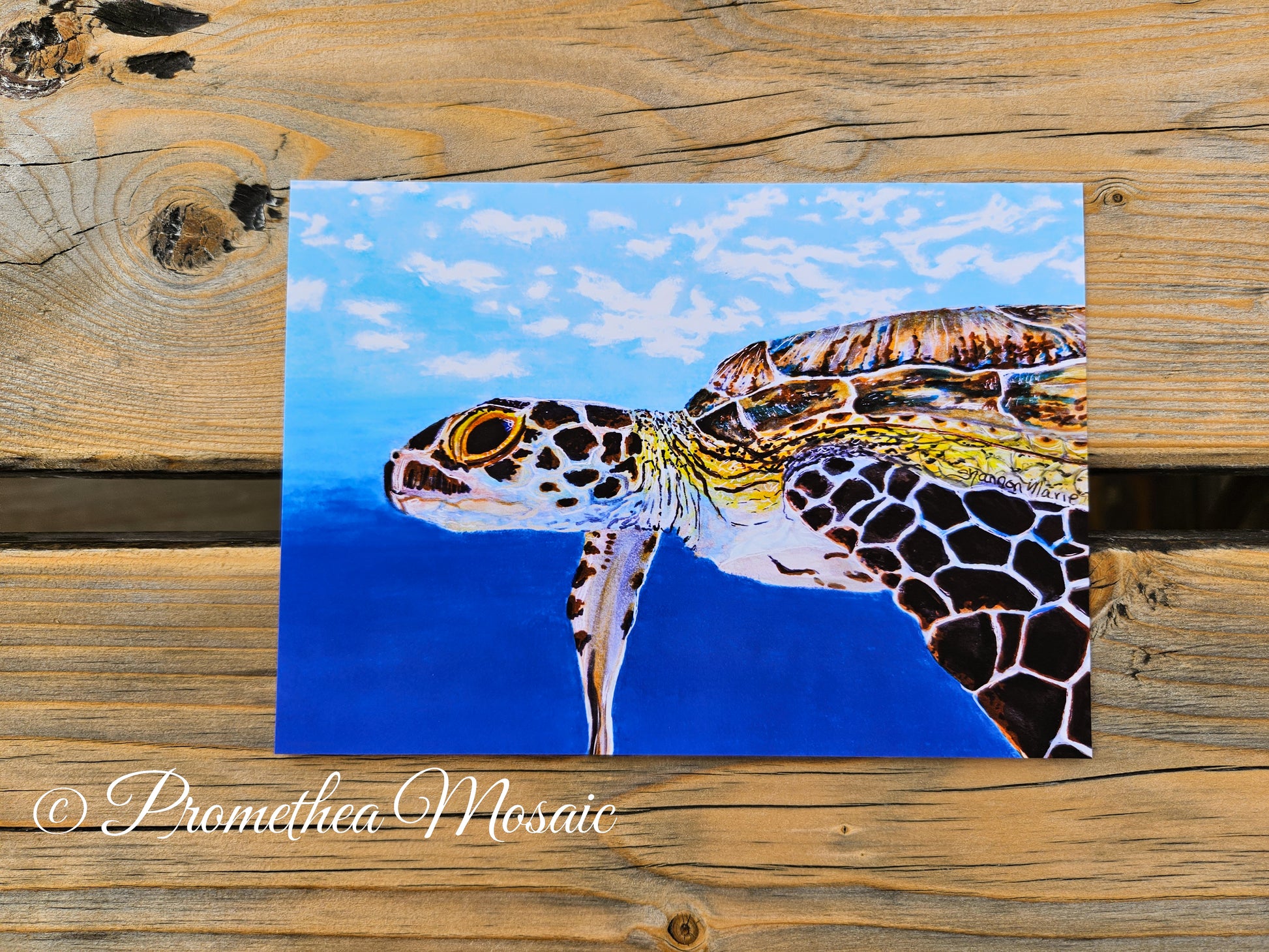 Sea turtle illustration art print on wood surface, eco friendly ocean wall decor printed on recyclable paper with archival pigment inks