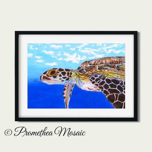 Underwater Sea turtle illustration with turtle in water art print displayed in black frame against white wall