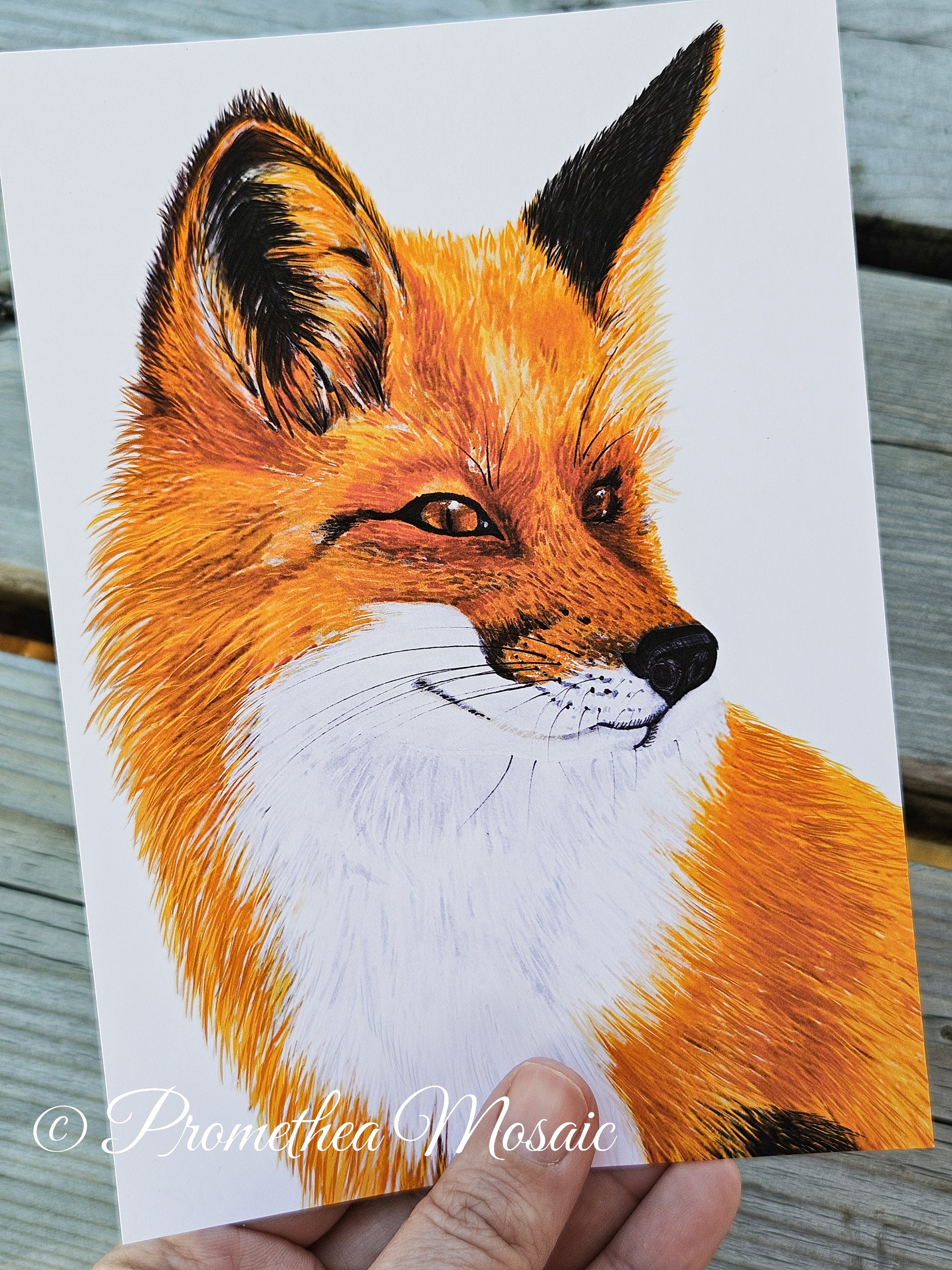 Hand-drawn illustration Art Print of a fox on a piece of paper held by a hand.