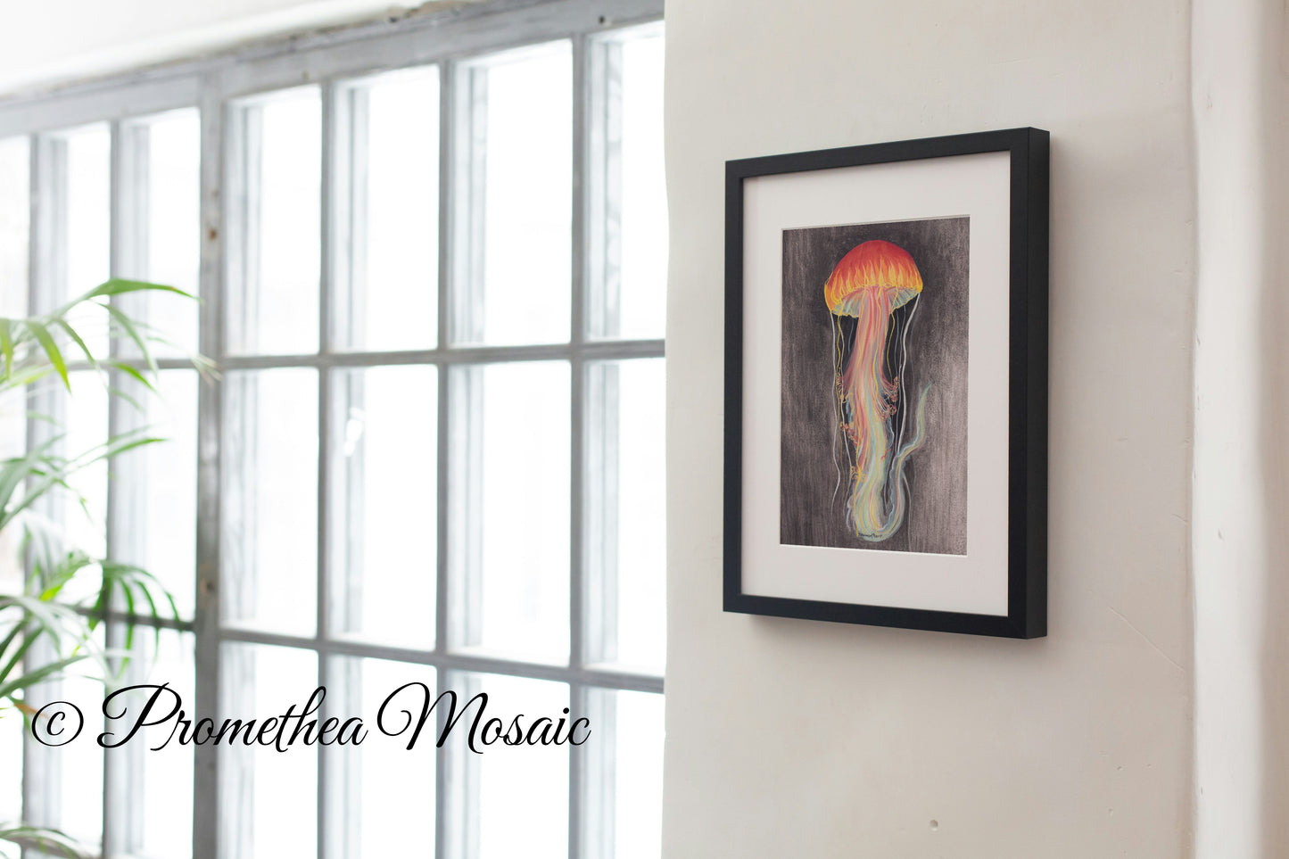 Framed artwork of a jellyfish on a wall next to a window with natural light.