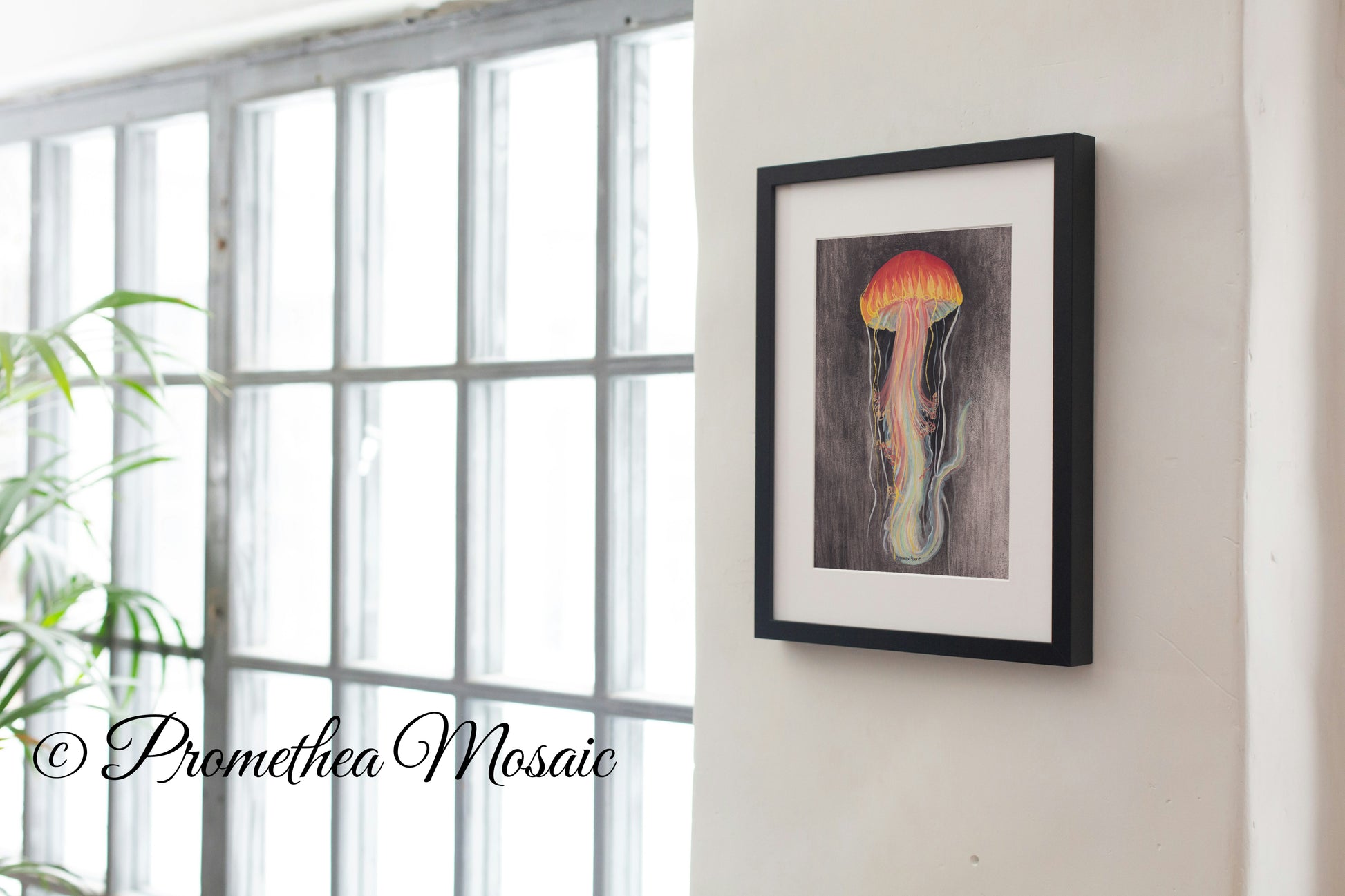 Framed artwork of a jellyfish on a wall next to a window with natural light.