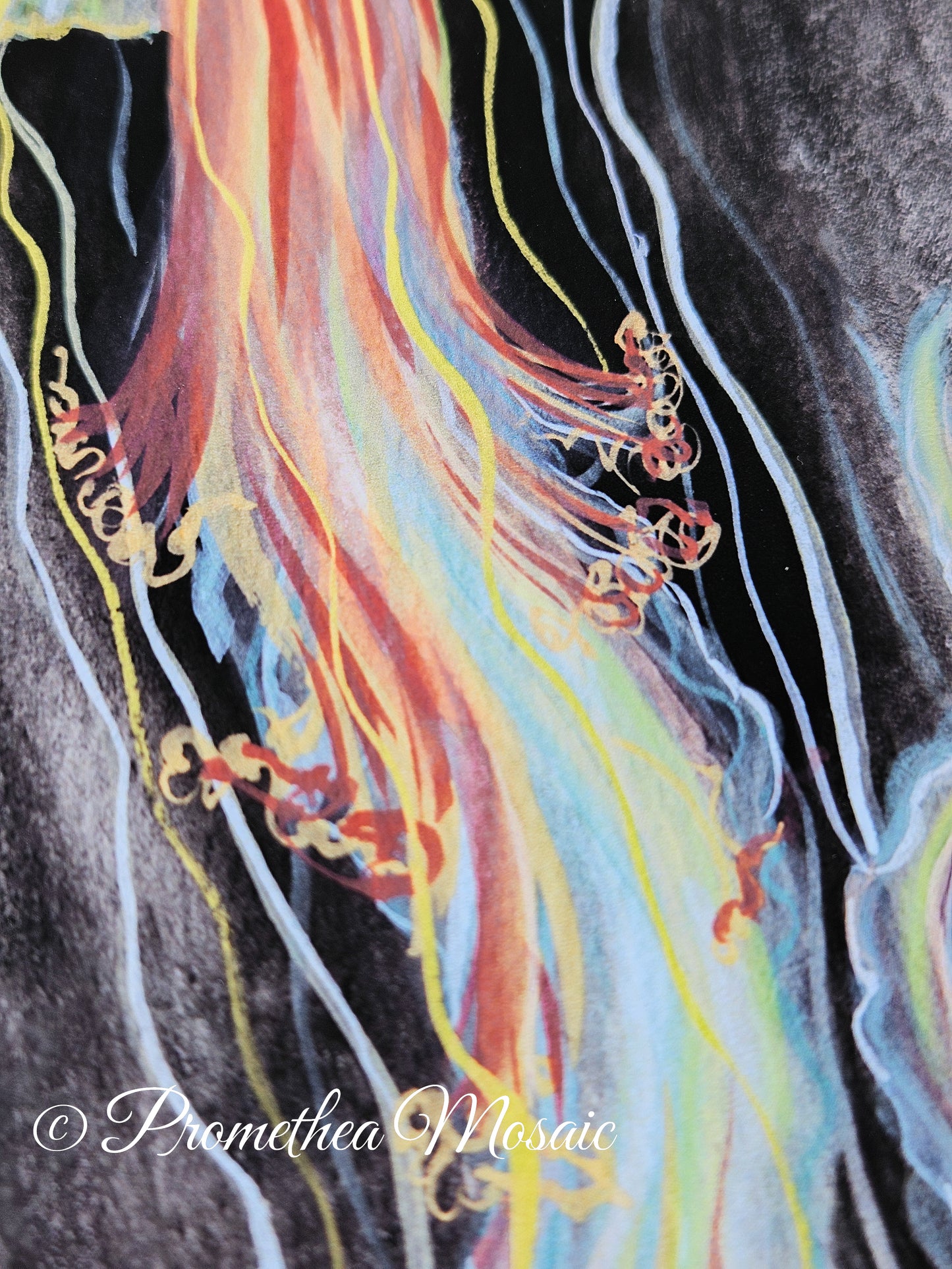 Close-up detail shot of colorful coastal jellyfish tentacles, on back and grey background.