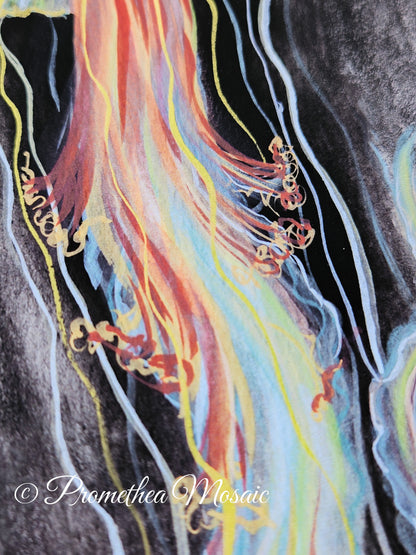 Close-up detail shot of colorful coastal jellyfish tentacles, on back and grey background.