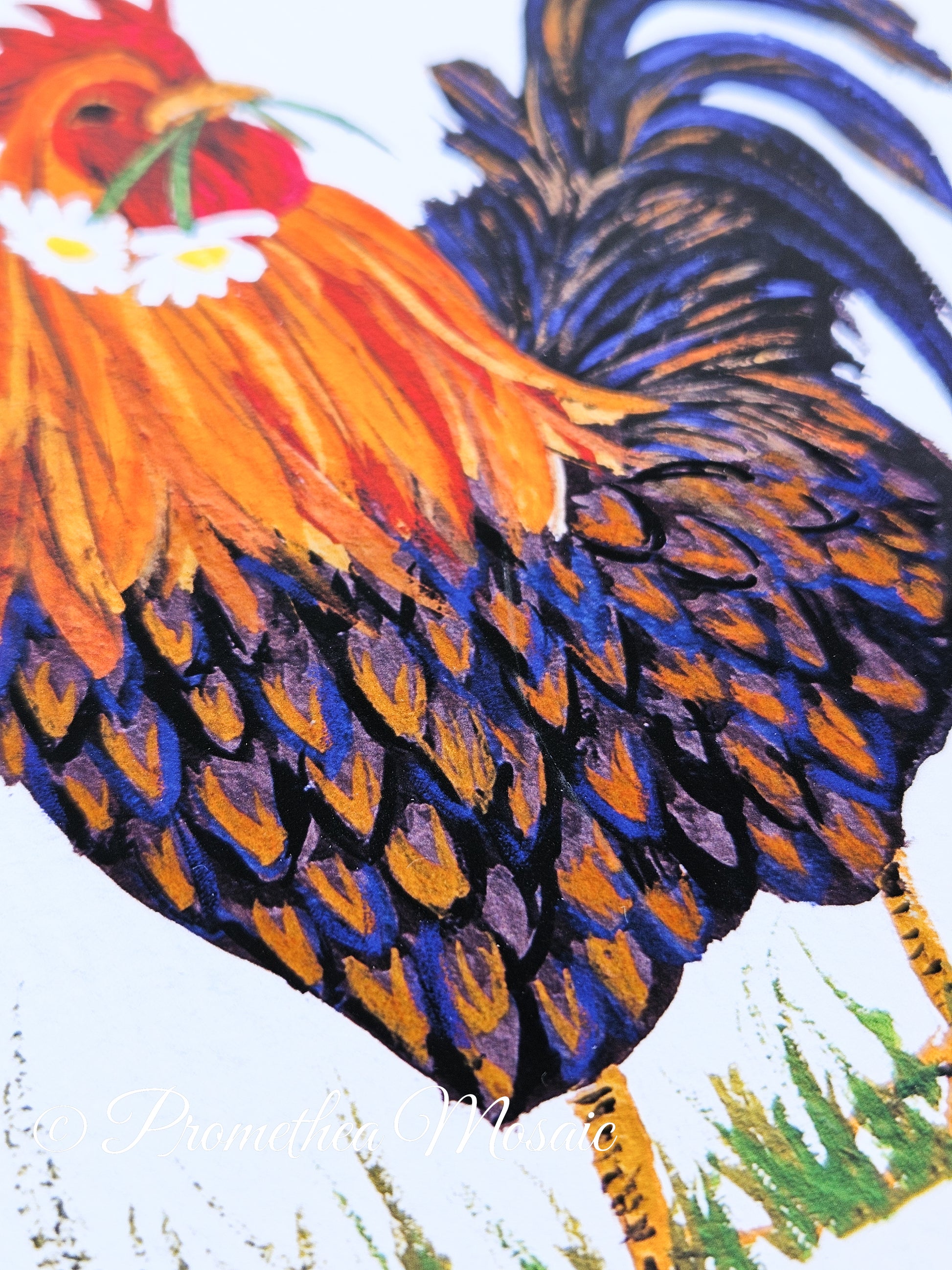 Colorful rooster illustration with vibrant orange, blue, and purple feathers.
