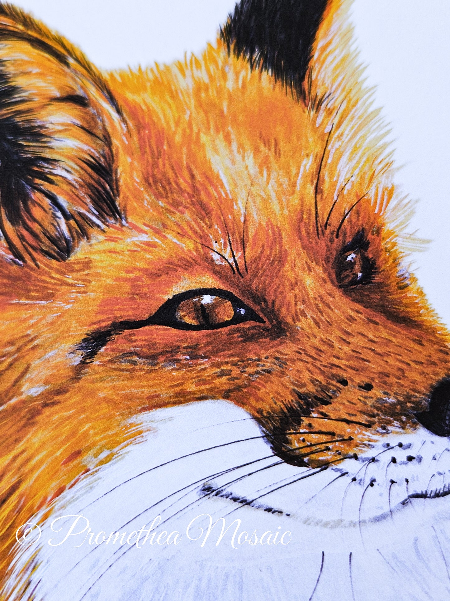 Close-up of a fox's face showing detail of the artwork on a white background