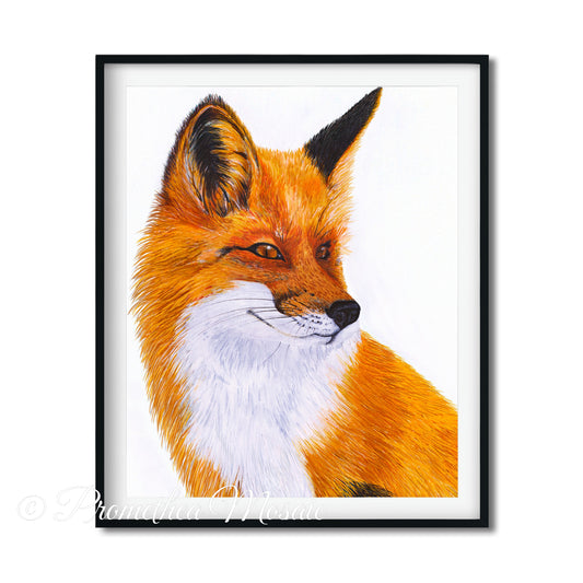 Art of a woodland orange fox looking to the right. Art printed in eco-friendly archival inks.